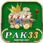 PAK33 Game