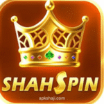 ShahSpin Game