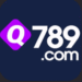 Q789 Game